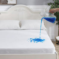 Waterproof Anti Bed Bug Mattress Protector Extra Deep Hypoallergenic Dust Mite Barrier Zipper Encaser by OLIVIA ROCCO Mattress Protector