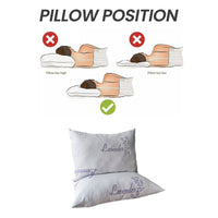 Lavender Infused Unique Hotel Pillow Hypoallergenic Microfibre Luxury Premium Fibre Filling for Superior Comfort and Support by OLIVIA ROCCO 50x75cm Pillows