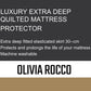 Egyptian Cotton Quilted Mattress Protector OLIVIA ROCCO Mattress Protector