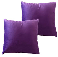 Pack of 2 Ultra-Soft Matte Velvet Cushion Covers 17x17 Inch Decorative Pillow Cases for Home Garden Decor Charcoal Silver Green Duck Egg by OLIVIA ROCCO PLUM Cushions